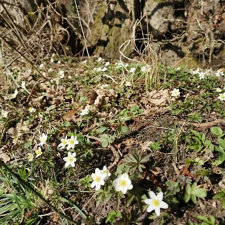 Gl. Havn Bed & Breakfast